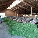 Ferienbauernhof Koepf Füssen