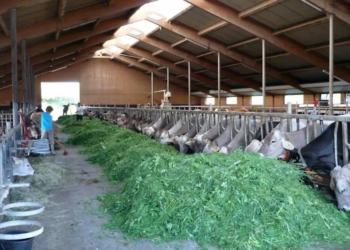 Ferienbauernhof Koepf Fussen